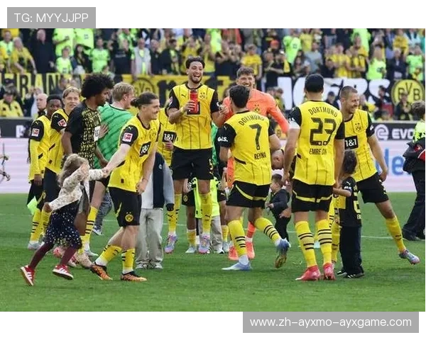 德国足球德甲联赛现阶段全部球队名单解析